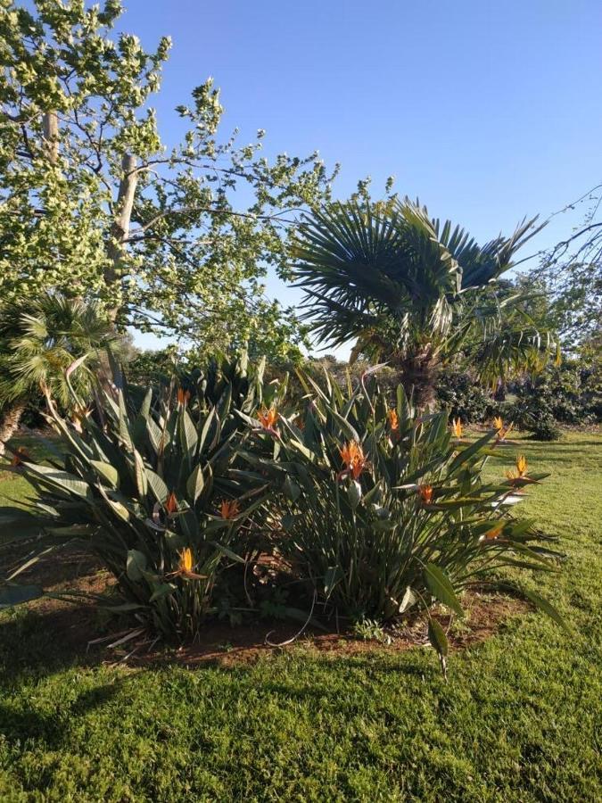 Elea Resort 2 بريفيزا المظهر الخارجي الصورة